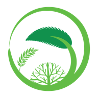 Top Organic